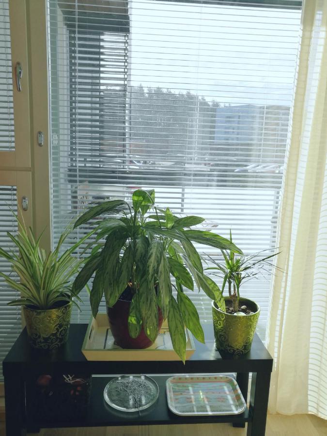 The Wildflower Apartment Turku Bagian luar foto